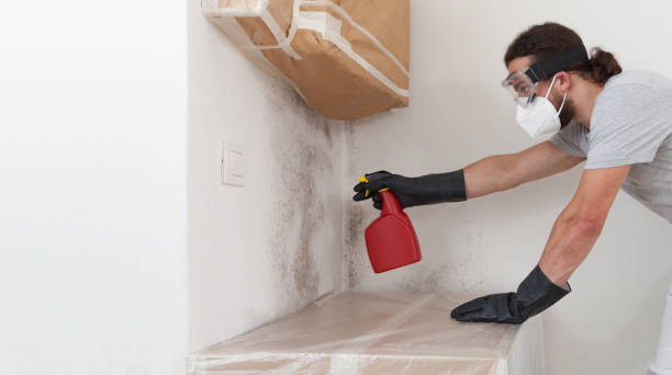 Professional Bathroom Mold Removal technician working in Oakton, VA