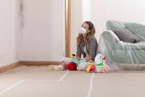 Reliable Bathroom Mold Removal contractor in Oakton, VA by WQB Mold Removal